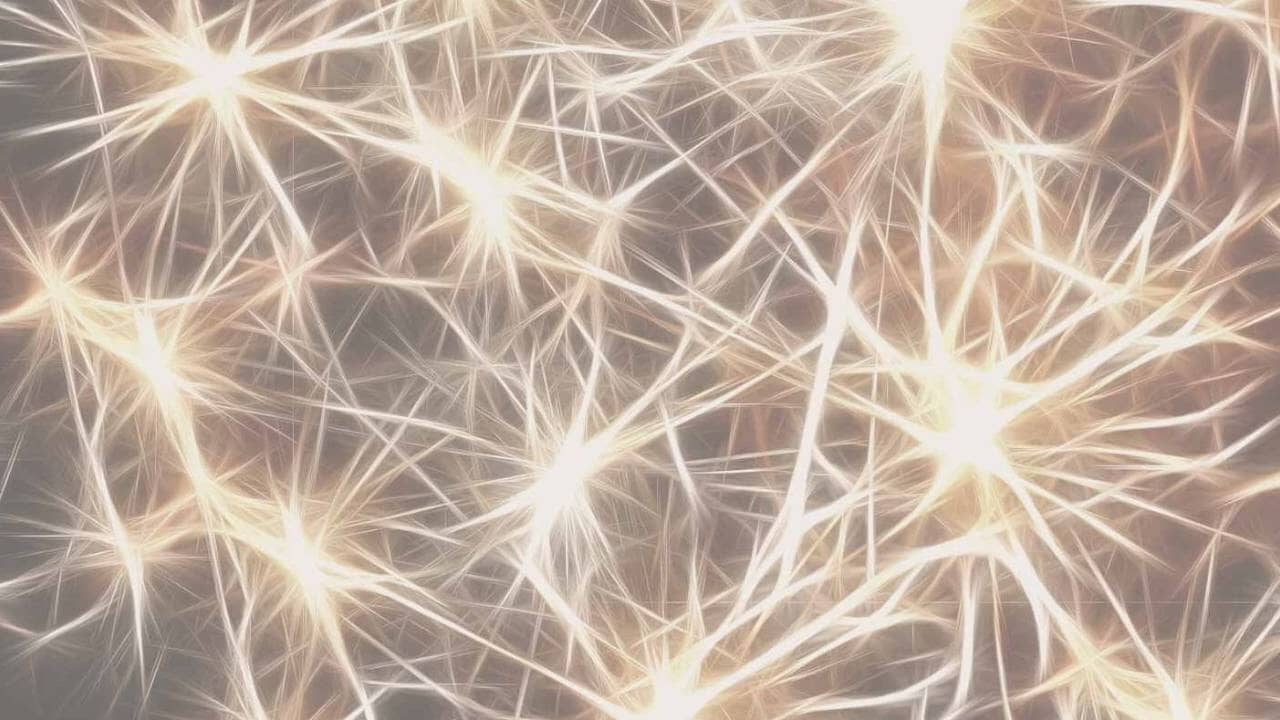 Comprende la salud desde una mirada más completa y totalmente científica.